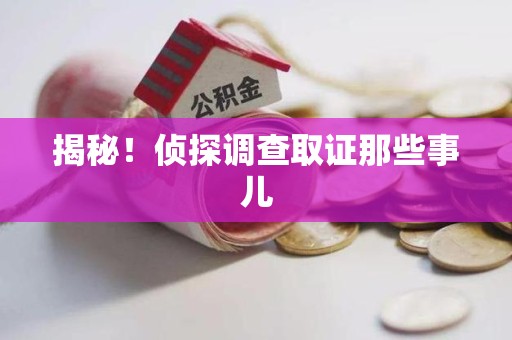 马尾揭秘！侦探调查取证那些事儿