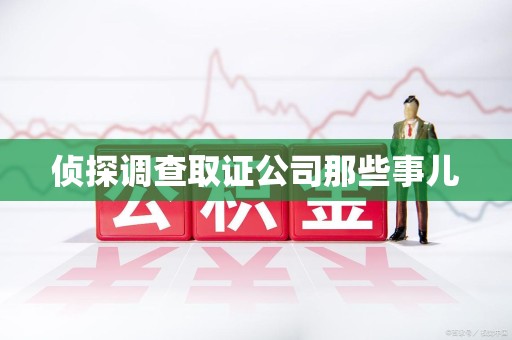 马尾侦探调查取证公司那些事儿