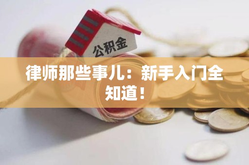 马尾律师那些事儿：新手入门全知道！