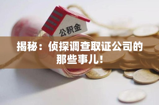 马尾揭秘：侦探调查取证公司的那些事儿！