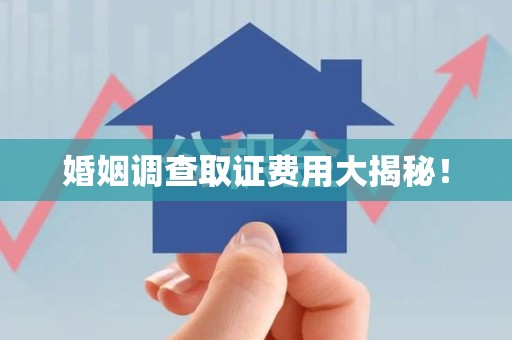 马尾婚姻调查取证费用大揭秘！