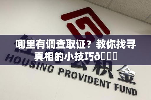 马尾哪里有调查取证？教你找寻真相的小技巧😎