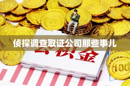 马尾侦探调查取证公司那些事儿