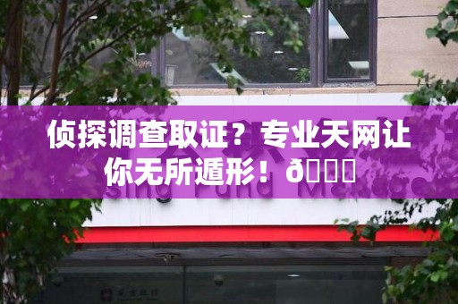 马尾侦探调查取证？专业天网让你无所遁形！😎