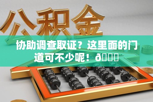 马尾协助调查取证？这里面的门道可不少呢！😎
