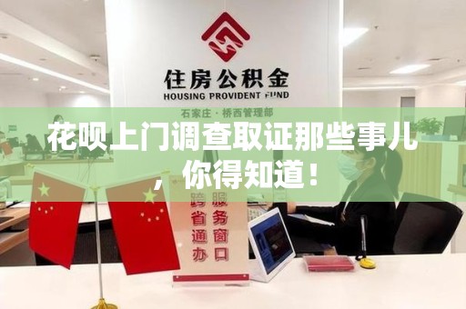 马尾花呗上门调查取证那些事儿,你得知道! 马尾花呗上门调查取证那些事儿,你得知道!