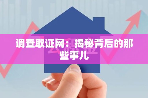 马尾调查取证网：揭秘背后的那些事儿