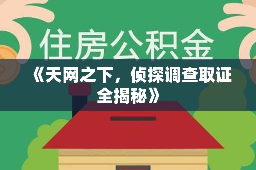 马尾《天网之下，侦探调查取证全揭秘》