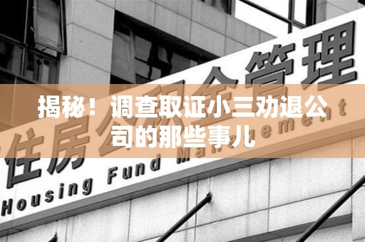 马尾揭秘！调查取证小三劝退公司的那些事儿