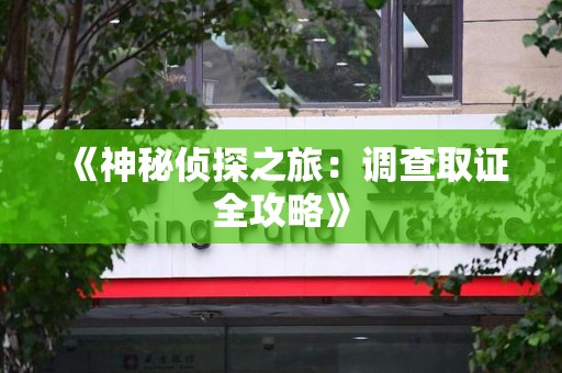 马尾《神秘侦探之旅：调查取证全攻略》