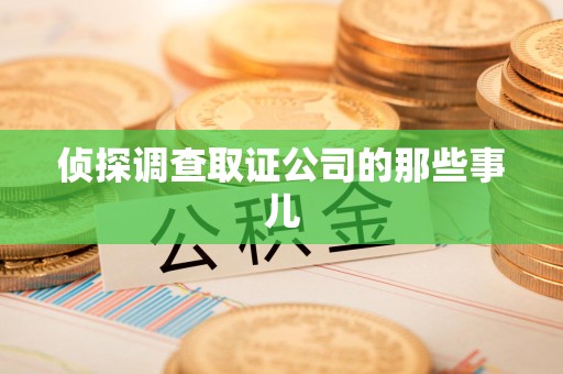 马尾侦探调查取证公司的那些事儿