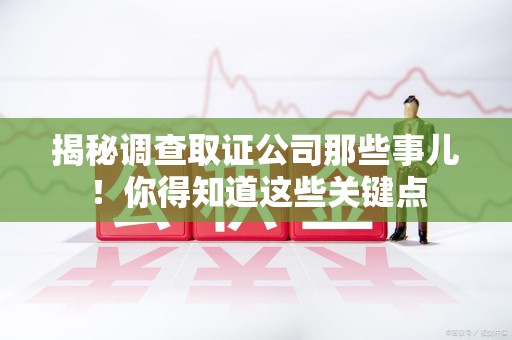 马尾揭秘调查取证公司那些事儿！你得知道这些关键点