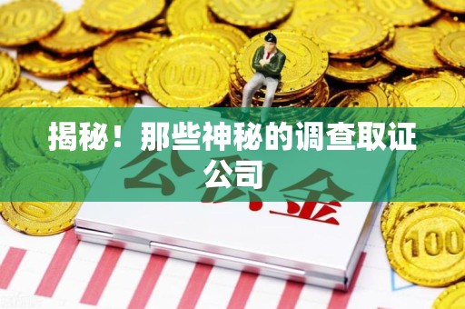 马尾揭秘！那些神秘的调查取证公司