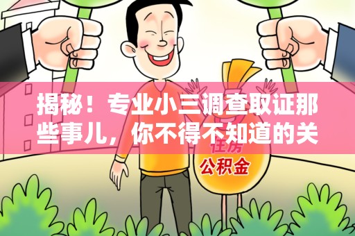 马尾揭秘！专业小三调查取证那些事儿，你不得不知道的关键点