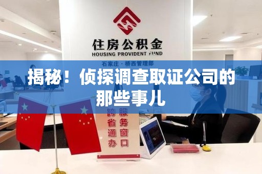 马尾揭秘！侦探调查取证公司的那些事儿