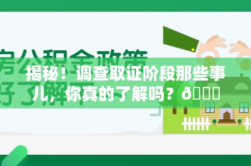 马尾揭秘！调查取证阶段那些事儿，你真的了解吗？😎