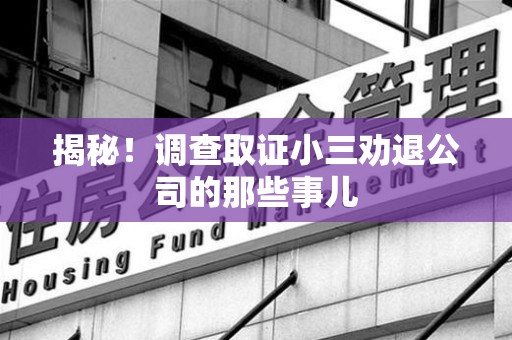 马尾揭秘！调查取证小三劝退公司的那些事儿