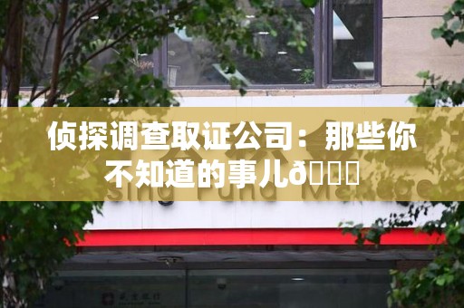 马尾侦探调查取证公司：那些你不知道的事儿😎