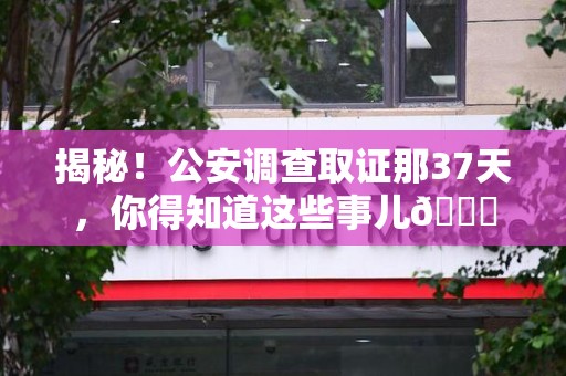 马尾揭秘！公安调查取证那37天，你得知道这些事儿😎