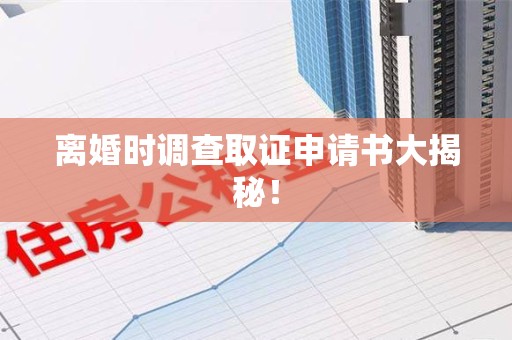 马尾离婚时调查取证申请书大揭秘！