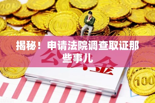 马尾揭秘！申请法院调查取证那些事儿
